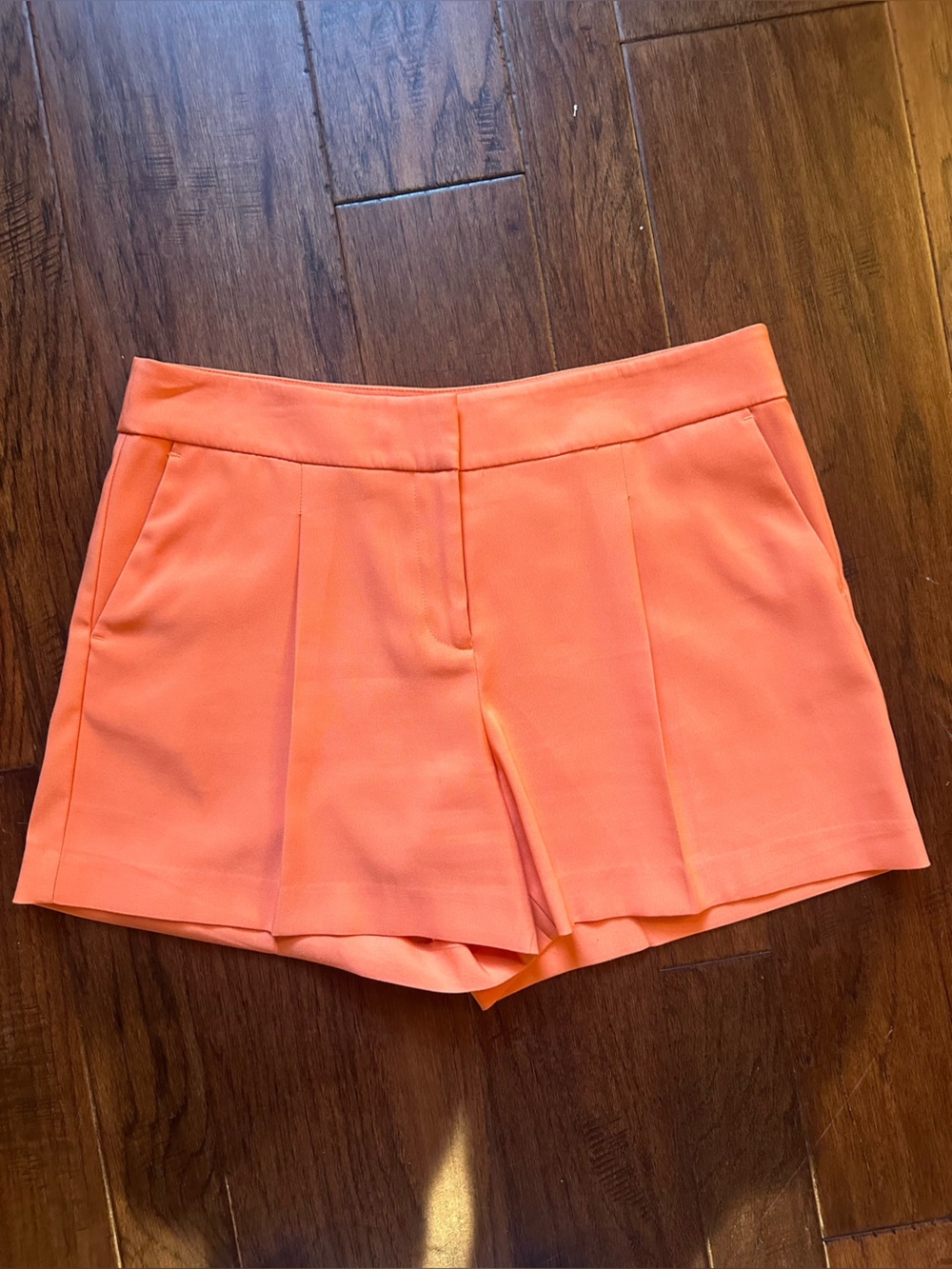 Orange Ann Taylor Front Pleat Dress Shorts - Size 8P